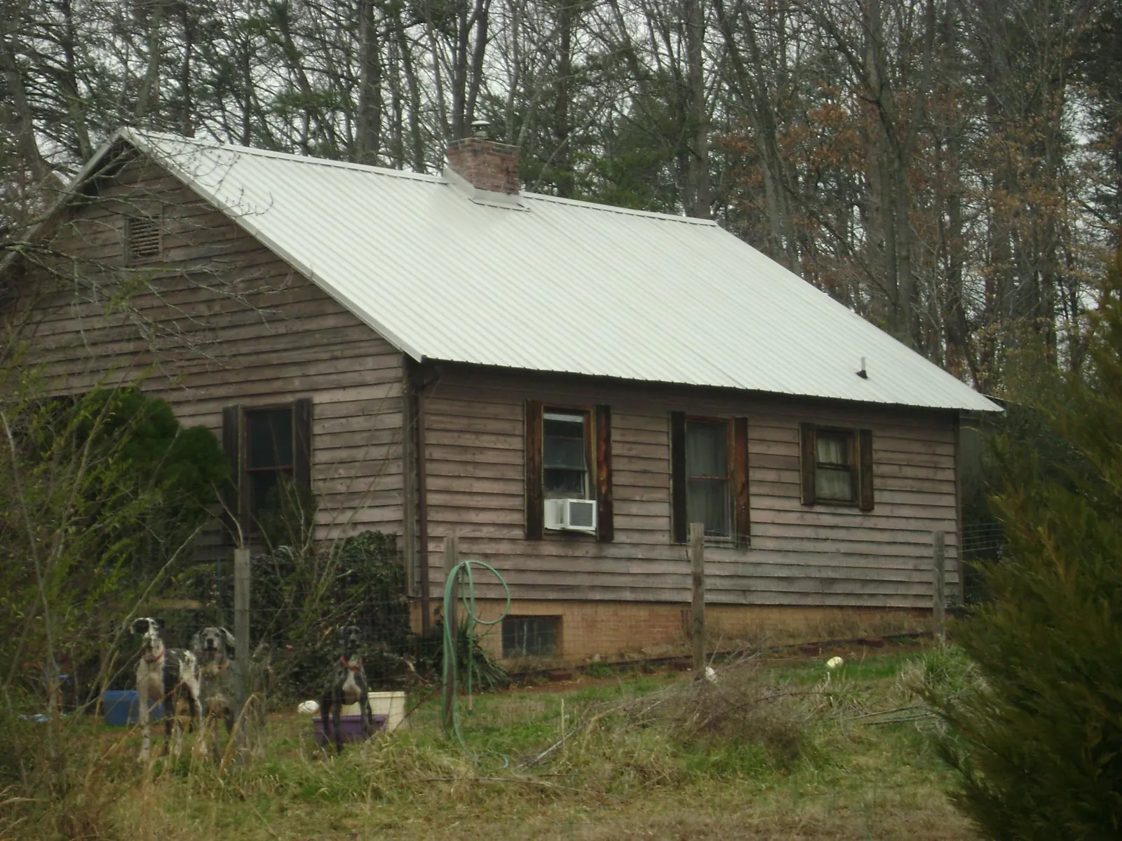 White metal roof on an old wood sided farmhouse, from a Asphalt Shingle Roof Repair job in Grand Valley
